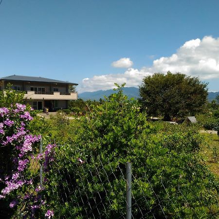 Du Du Hao B&B Luye Exterior photo
